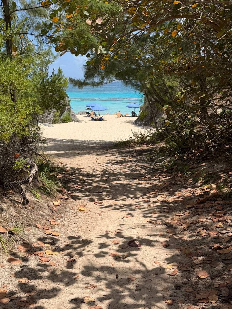 The shaded sand path down to Chaplin Bay